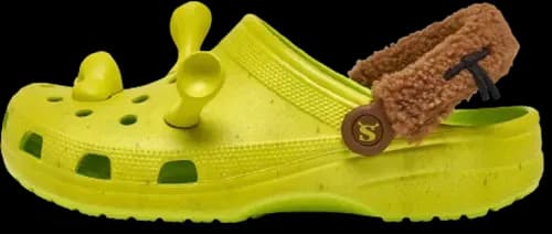 image de Shrek Crocs Classic Clog Green Brown 209373-300