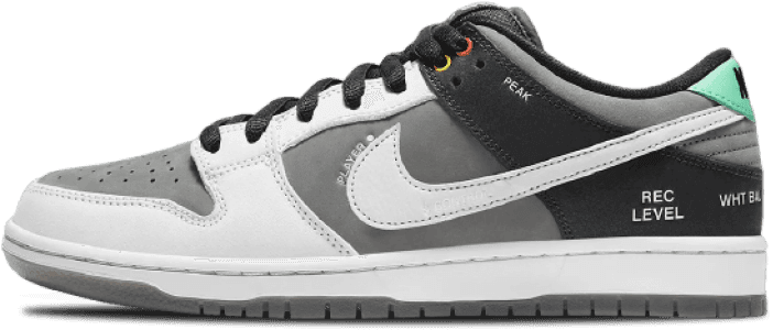image-nike-sb-dunk-low-camcorder